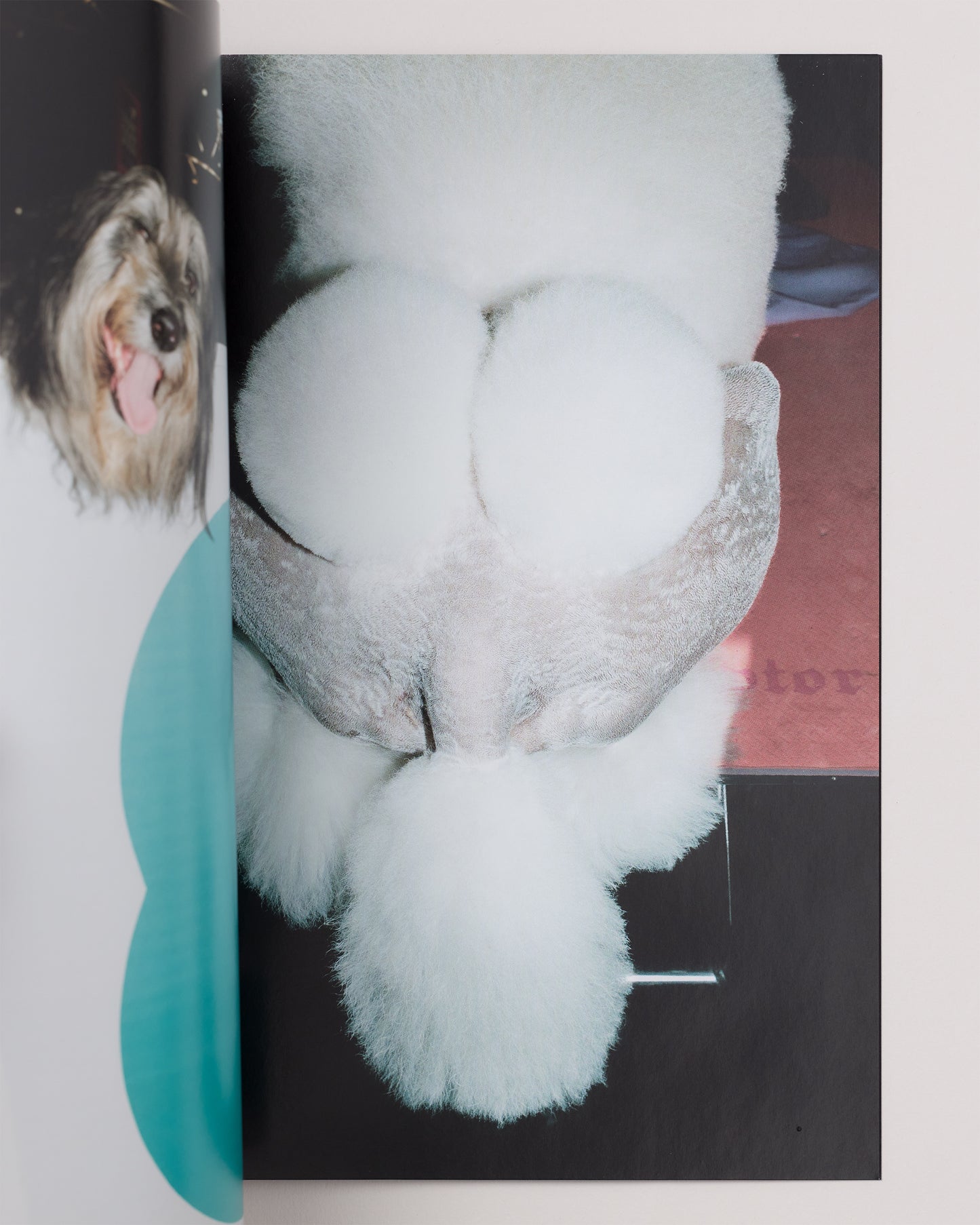 Unemployed Magazine Issue 08