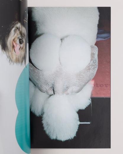 Unemployed Magazine Issue 08